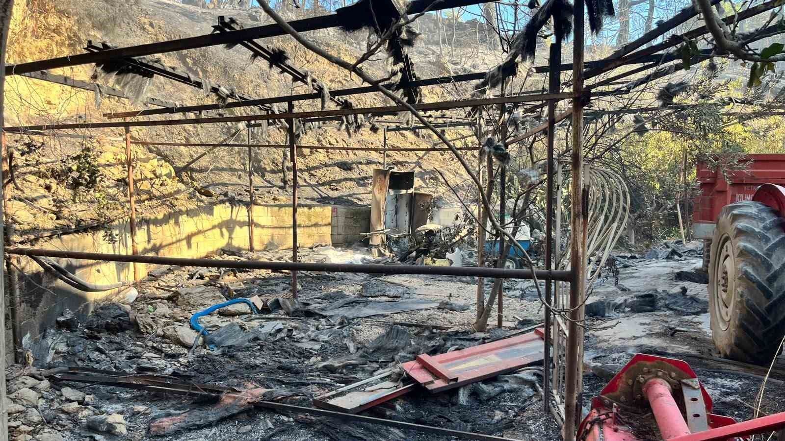 Alanya'da orman yangını muz seralarına sıçradı: 17 hektarlık alan zarar gördü