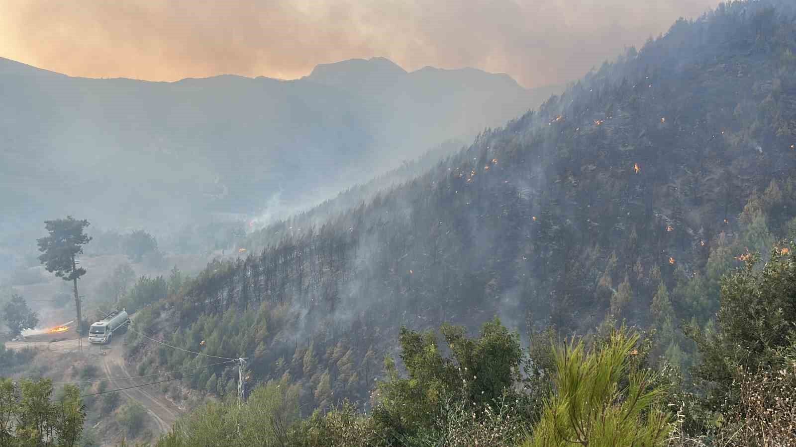 Alanya'daki yangına 95 araç ve 320 personelle müdehale ediliyor