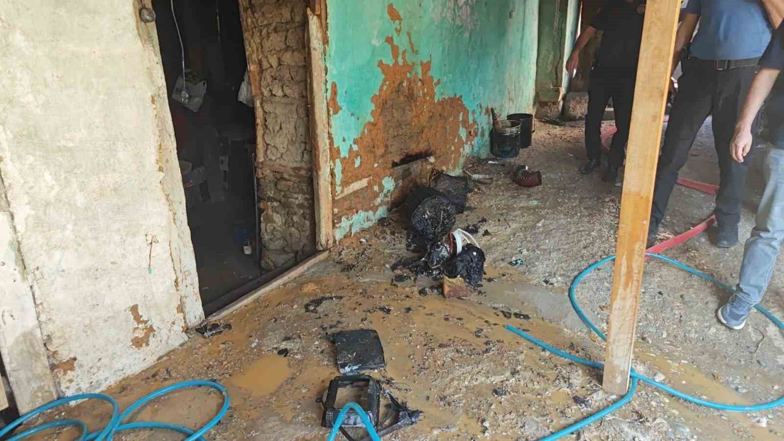 Kovada yakılan kağıtlar tekrar alevlendi, yangın eve sıçramadan söndürüldü