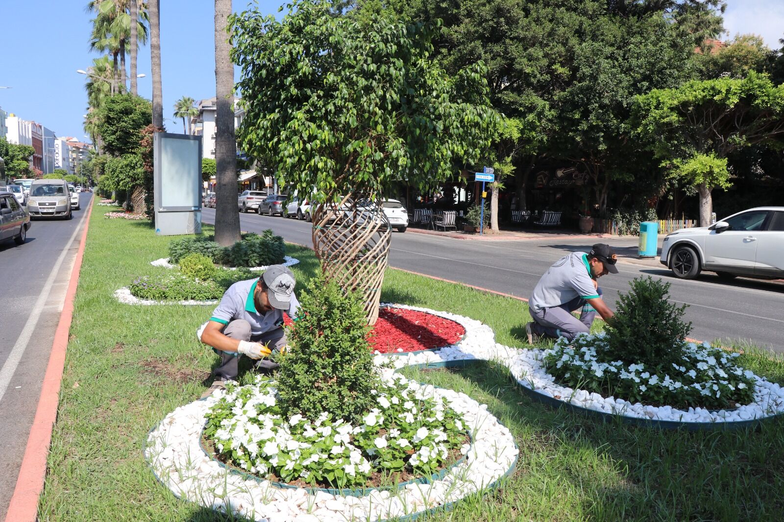 Alanya Belediyesi Yeşil Alanlarda Bakım Seferberliği Başlattı