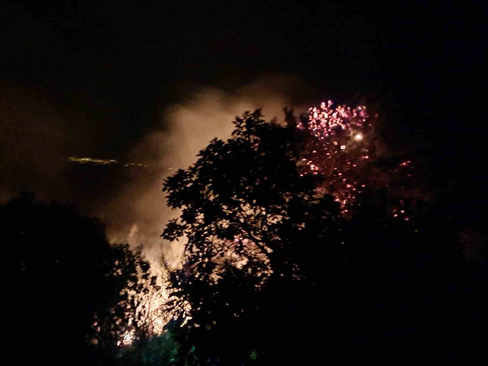 Alanya'da gece saatlerinde çıkan orman yangını kontrol altına alındı