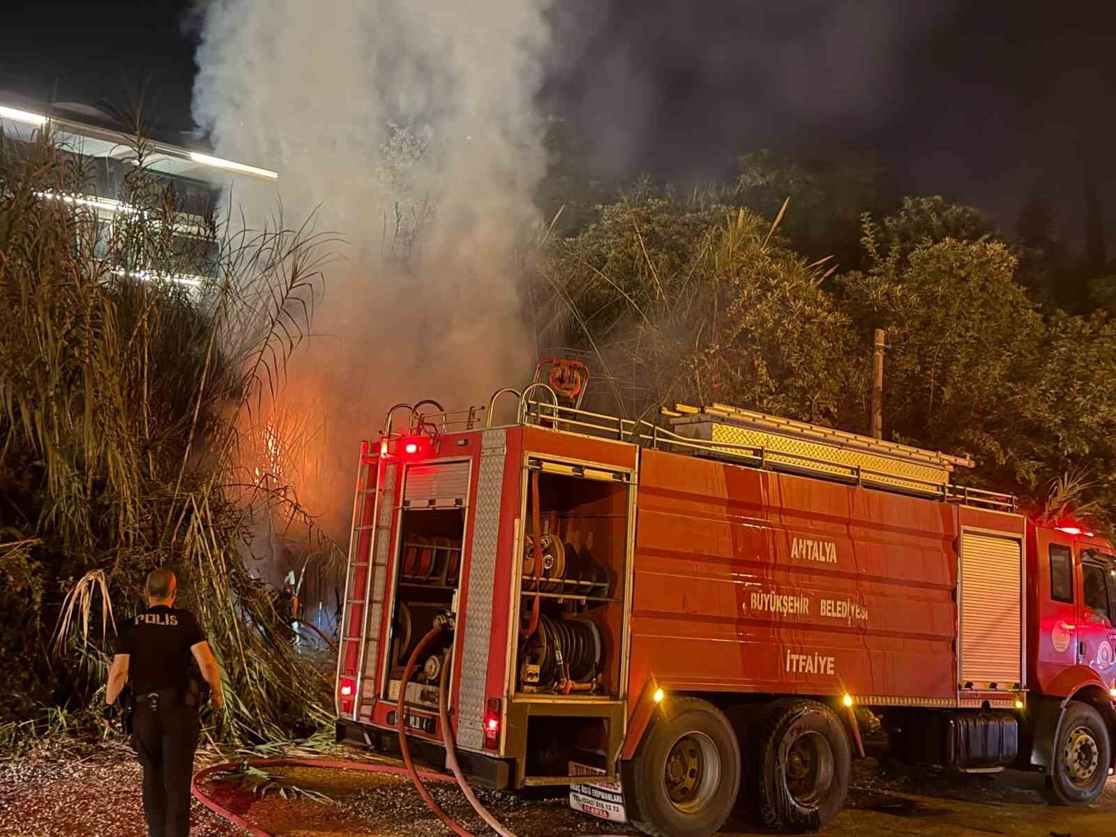Alanya'da sazlık alanda yangın