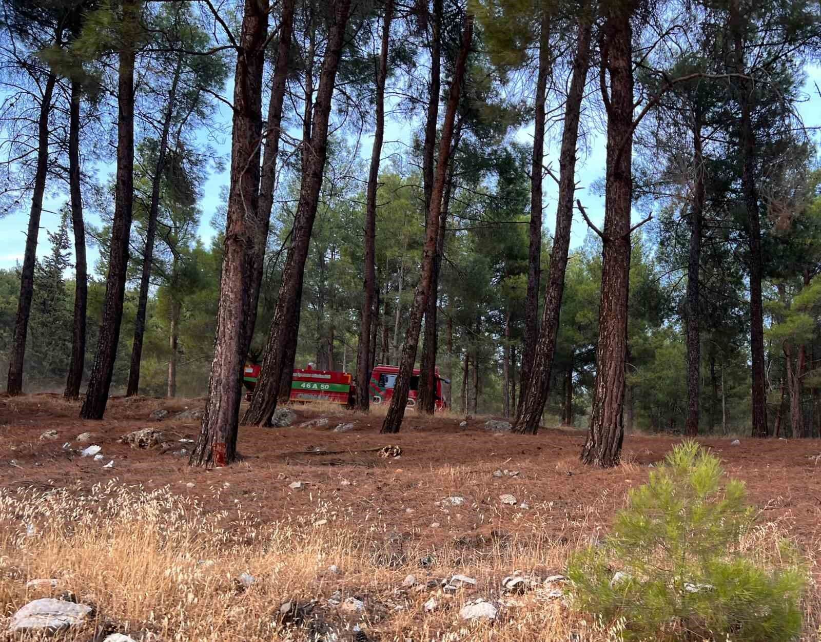 Kahramanmaraş'ta orman yangını