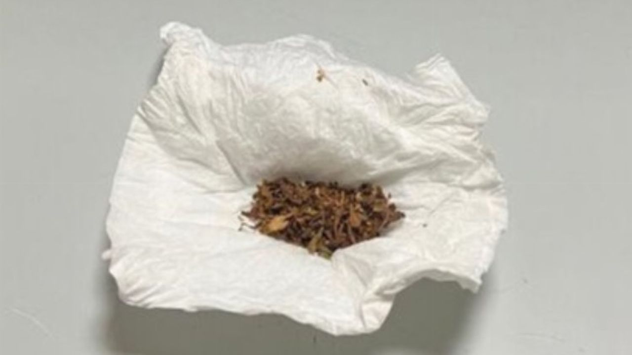 Edirne Keşan'da polisten uyuşturucu operasyonu