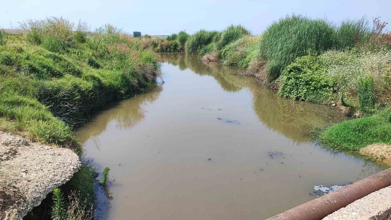 Dere yatağına kanalizasyon akıyor