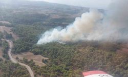 Adana’da çıkan orman yangını kontrol altına alındı