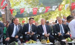 Mut Zeytin ve Zeytinyağı Festivali coşkulu başladı