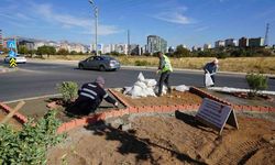 Kahramanmaraş refüjlerinde peyzaj düzenlemeleri