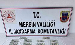 Mersin’de sahte dolarlar ele geçirildi