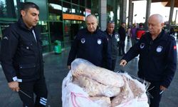 Şanlıurfa’dan Antalya’ya otobüsle gönderilen 300 kilogram sakatata el konuldu