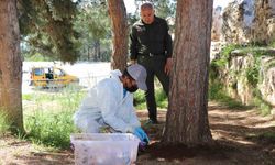 Alanya Belediyesi’nden biyolojik mücadele