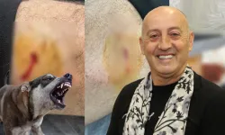 Gemlik Karacaali Muhtarı'na sokak köpeklerinden saldırı!