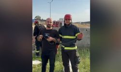 Bahçeye giren yılanla hatıra fotoğrafı çektirdiler