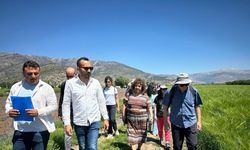 Cezaevlerinde AB projesi kapsamında organik tarım eğitimi