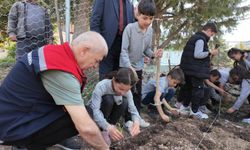 Eğirdir’de tıbbi aromatik bitkiler bahçesi açıldı
