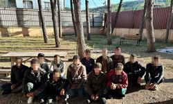 Hatay’da 65 kaçak göçmen yakalandı