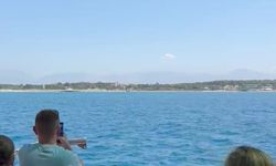 Side açıklarında Akdeniz foku görüntülendi, turistler hayretler içinde izledi