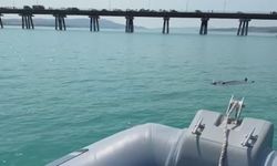 Adana’da baraj gölüne düşen kadını gemi adamlar kurtardı