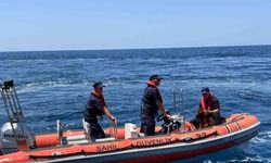 Alanya Kalesi’nde kayalık bölgede mahsur kalan dağ keçisi kurtarıldı