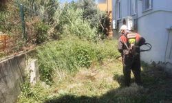 Antakya Belediyesi’nden parklar ve yeşil alanlarda titiz çalışma