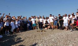 Antalya’da deniz kaplumbağaları çip takılarak denize uğurlandı