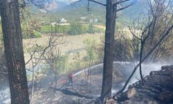 Hatay’daki orman yangını söndürüldü