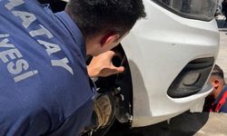 İskenderun’da aracın kaputuna giren kediyi itfaiye kurtardı