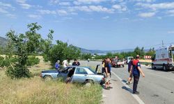 Lastiği patlayan otomobil yoldan çıktı: 1 yaralı