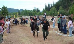 Motokros yarışında motosikletle birinci, diğer yarışmada eşekle sonuncu oldu