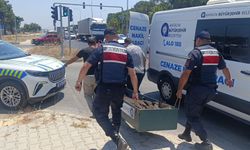 Kanserle savaşını kazandı, trafikte hayatını kaybetti