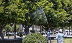 Mersin’de yaz boyunca kesintisiz ilaçlama