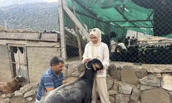 Antalya’da yüzyıllardır süren Yörük kültürü ’keçi kıl kırkımı’