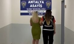-Çalıştığı şirkette başka hesaplara 8,5 milyon lira aktaran orman mühendisi tutuklandı