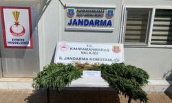 Çeşitli suçlardan yakalanan 14 şüpheli tutuklandı