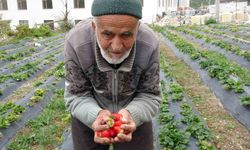 85 yaşındaki İbrahim dede "Hayır Bahçesi"nde yetiştirdiği meyve ve sebzeleri ücretsiz ikram ediyor
