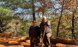 Karı-koca 35 yıldır  ormanlarda damgalanan ağaçları kesiyorlar