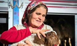 Mersin’de yem ve küçükbaş desteği üreticiyi güçlendiriyor