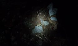 Yürüyüş esnasında uçurumdan düşen Ukraynalı 2 turist kurtarıldı