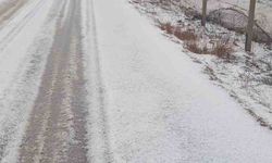 Adana'da dolu yağdı, yollar ve tarlalar beyaza büründü