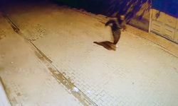 Adana’da evin camlarına taş atıp kaçtı: O anlar kamerada