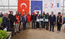 Adana’da topraksız marul yetiştiriciliği başladı