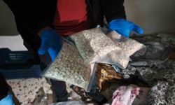 Adana'da torbacı operasyonunda 5 tutuklama