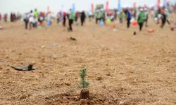 ATÜ yeşil kampüs olma yolunda ilerliyor: Dikilen fidan sayısı 22 bin 500’ü buldu