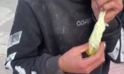 Caddede güpegündüz bali çekip kendinden geçti