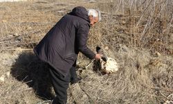 Çamurlu ayakkabısını çıkarıp markette alışveriş yapmıştı: "Yine olsa yine yaparım"