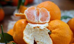 En ucuz meyve mandalina: Dalında 3, pazarda 5 lira