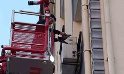 İskenderun’da klima motoruna dolaşan kuş kurtarıldı