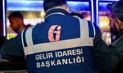 Mersin'de günübirlik ev ve eğlence mekânlarına denetim: 4 milyon 472 bin TL ceza kesildi