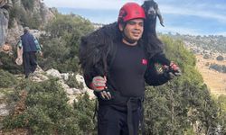 Mersin'de kayalıklarda mahsur kalan 2 keçi itfaiye ekiplerince kurtarıldı