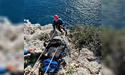 Mersin'de sarp kayalıklarda mahsur kalan keçi nefes kesen operasyonla kurtarıldı